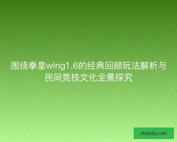围绕拳皇wing1.6的经典回顾玩法解析与民间竞技文化全景探究